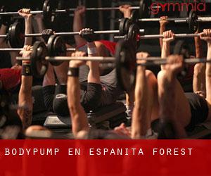 BodyPump en Espanita Forest