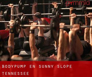 BodyPump en Sunny Slope (Tennessee)