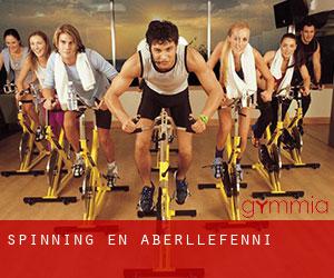 Spinning en Aberllefenni