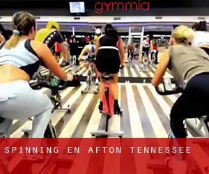 Spinning en Afton (Tennessee)