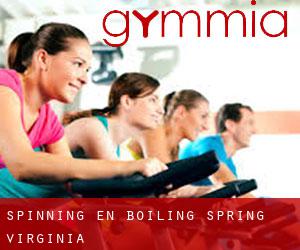 Spinning en Boiling Spring (Virginia)