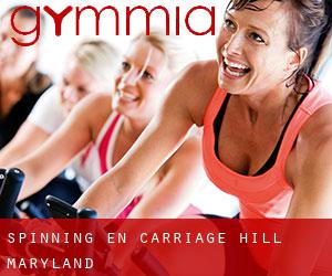 Spinning en Carriage Hill (Maryland)