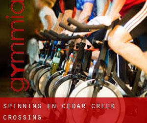 Spinning en Cedar Creek Crossing