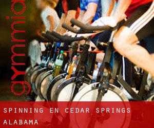 Spinning en Cedar Springs (Alabama)