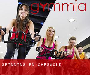 Spinning en Cheswold
