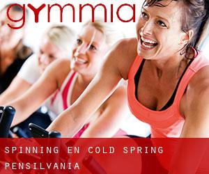 Spinning en Cold Spring (Pensilvania)
