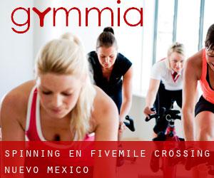 Spinning en Fivemile Crossing (Nuevo México)