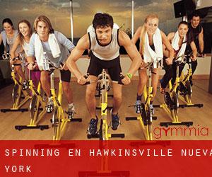 Spinning en Hawkinsville (Nueva York)