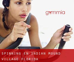 Spinning en Indian Mound Village (Florida)
