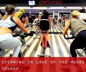 Spinning en Lake of the Woods County