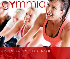 Spinning en Lily Cache