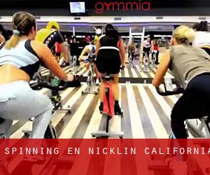 Spinning en Nicklin (California)