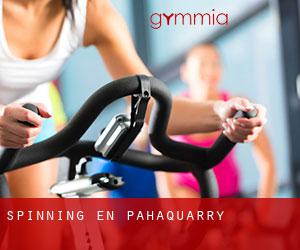 Spinning en Pahaquarry