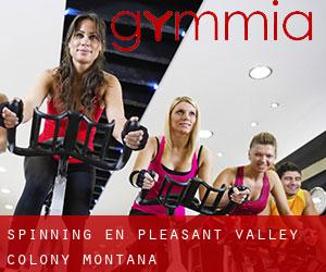 Spinning en Pleasant Valley Colony (Montana)