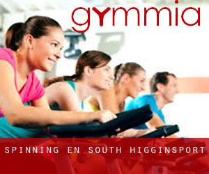 Spinning en South Higginsport