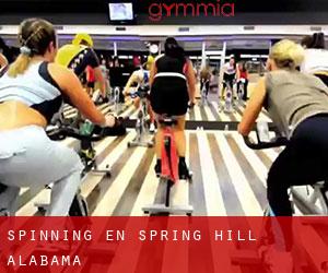 Spinning en Spring Hill (Alabama)