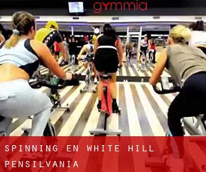 Spinning en White Hill (Pensilvania)