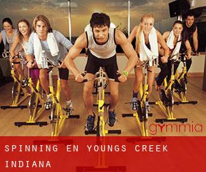 Spinning en Youngs Creek (Indiana)