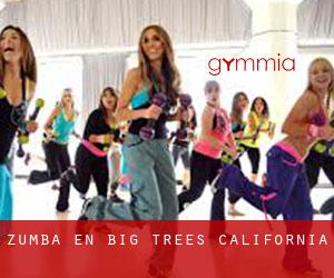 Zumba en Big Trees (California)