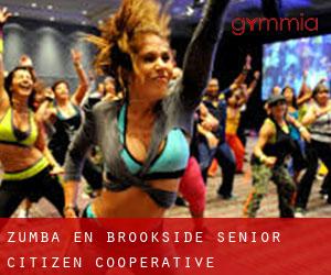 Zumba en Brookside Senior Citizen Cooperative