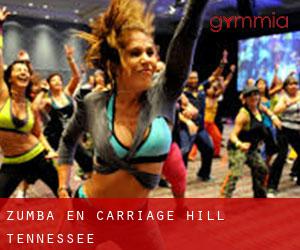 Zumba en Carriage Hill (Tennessee)