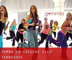Zumba en College View (Tennessee)