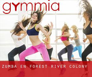 Zumba en Forest River Colony