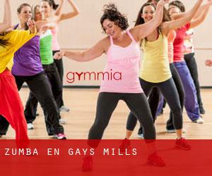 Zumba en Gays Mills
