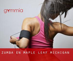 Zumba en Maple Leaf (Michigan)