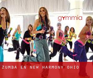 Zumba en New Harmony (Ohio)