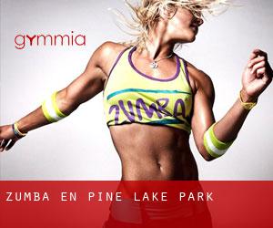 Zumba en Pine Lake Park