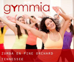 Zumba en Pine Orchard (Tennessee)