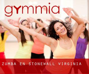 Zumba en Stonewall (Virginia)
