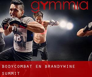 BodyCombat en Brandywine Summit