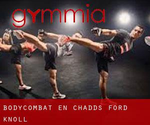 BodyCombat en Chadds Ford Knoll