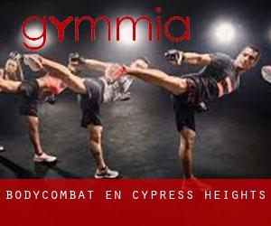 BodyCombat en Cypress Heights