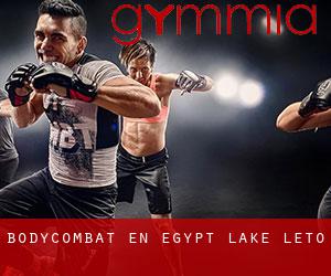 BodyCombat en Egypt Lake-Leto