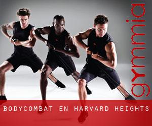 BodyCombat en Harvard Heights