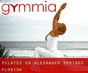 Pilates en Alexander Springs (Florida)