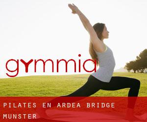 Pilates en Ardea Bridge (Munster)