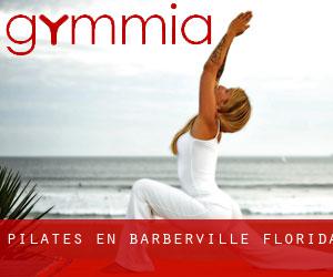 Pilates en Barberville (Florida)
