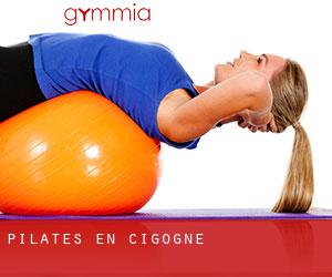 Pilates en Cigogné