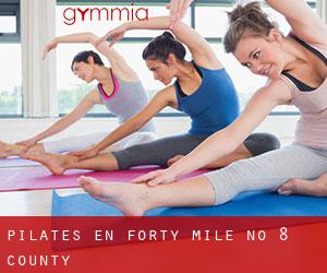 Pilates en Forty Mile No. 8 County