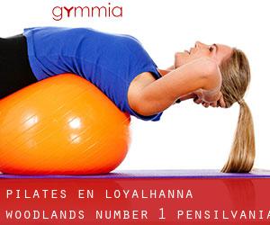 Pilates en Loyalhanna Woodlands Number 1 (Pensilvania)