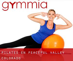 Pilates en Peaceful Valley (Colorado)