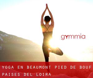 Yoga en Beaumont-Pied-de-Bœuf (Países del Loira)
