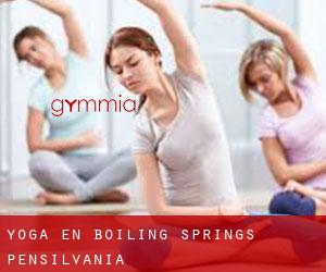 Yoga en Boiling Springs (Pensilvania)