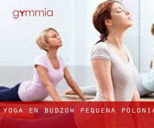 Yoga en Budzów (Pequeña Polonia)