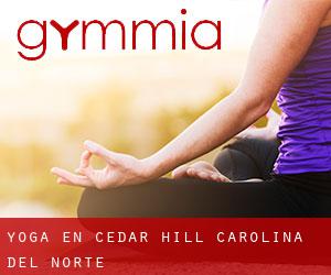 Yoga en Cedar Hill (Carolina del Norte)