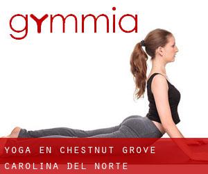 Yoga en Chestnut Grove (Carolina del Norte)